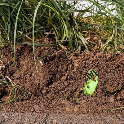 Sacos de compras de amido de milho biodegradável compostável para embalagens de alimentos